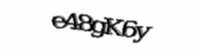 Security check image, please type the characters shown